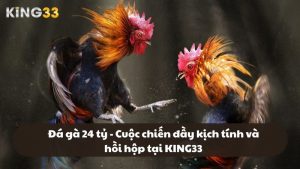 đá gà 24 tỷ